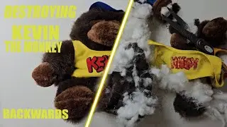 Oddly Satisfying Destruction: KEVIN THE MONKEY PLUSHIE [In Reverse] #599 ASMR (Relaxing)