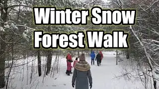 Winter Snow Forest Walk / Winter Wonderland Ontario / Long Sault Park
