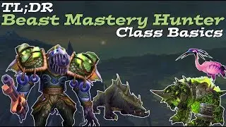 Beast Mastery Hunter Guide 7.3 | Basics for beginners