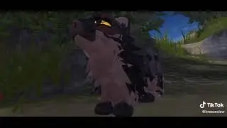 Angry evil Sand boi