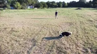 Vantage Robotics Snap Drone - Frisbee 'Flight' Test 1