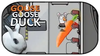 GOOSE GOOSE DUCK 🐇 44 - In der Dusche lag eine M&ouml;hre