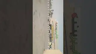 SAUDIA ARABIA UNAYZAH  HYBER MARKET