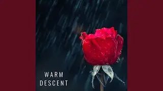 Real Rain Sounds