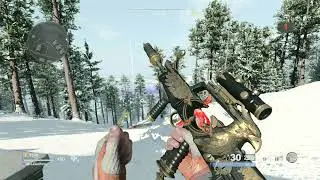 Black Ops Cold War - 