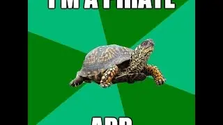 Pixel Piracy EP 10: PET TURTLE