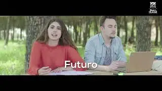 Facultad de Ciencias Experimentales - UPO
