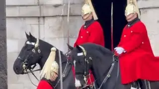 Hourly changing of the Guards! #buckinghampalace #horseguards #london #uk #horses #horse #england 
