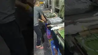 Rubber Sole Production Process