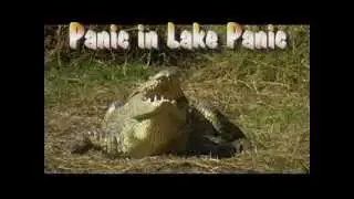 Panic in Lake Panic, KrugerPark, South Africa