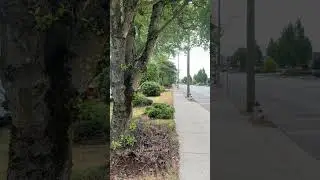 Burnaby Canada Kingsway Sunday September 17 2023