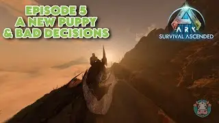 Ark Survival Ascended | The Island | Episode 5 - Wanted, Toothy Friend