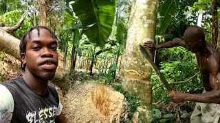 Landscaping and Cleaning 50 Acres of Farm Land | Using Premitive Tools | Must Watch