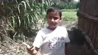 Jbala 2018