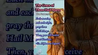 Three Hail Marys | Miracle Prayers for Mercy, Healing, Peace | 30 November
