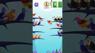 Color Bird Sort Puzzle game level13 #shorts #gaming #gamer