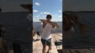 figure 8 for aggressive fish off the dock (remote lake)