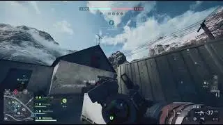 Rip metal bird