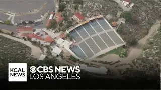 Ramona Bowl | Look At This!