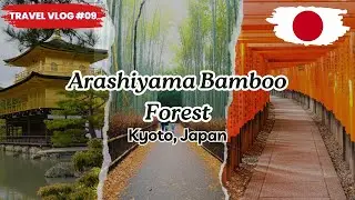 Bamboo Forest Kyoto, Japan