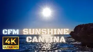 Sunshine Cantina by National Sweetheart | Copyright Free Music