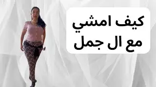 كيف امشي مع الجمل و اساسيات الجمل