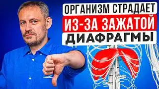 Одна МЫШЦА решает, будете вы здоровы или нет! Почему так важна диафрагма?