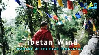 Nomads Of The High Himalayas || Tibetan Winds #relaxingmusic #postiveenergy