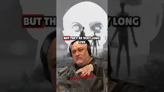The Truth About Tall Whites & Greys &ndash; Mysterious Alien Encounters - Joe Rogan Experience
