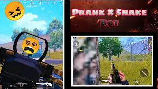 Bot and snake pranks  In  PUBG MOBILE || GONE WRONG