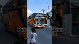 Bus Chandra Putra 