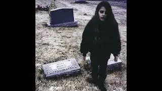 Not In Love - Crystal Castles ( Search Nothing Voice Edit )