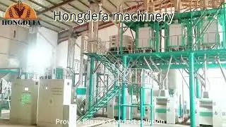 50TPD Maize Milling Machine by Hongdefa | Smart Design, High Output, Built for Zambia #hongdefa