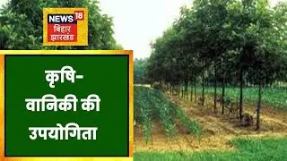 Agroforestry| कृषि वानिकी का महत्व और उपयोगिता को जानिए | ANNADHATA