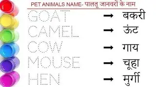 Pet Animals name in english hindi || पालतू जानवर के नाम || wild animals name || जंगली जानवर