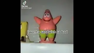 SPONGEBOB SPONGEBOB PATRICK PATRICK