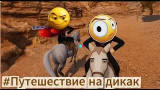 ДИКИЙ ЗАПАД #VRCовбои
