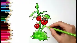 (Plants vs Brainrots) How to draw TOMATRIO (Roblox)