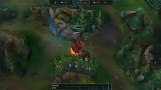 Nerf Akali