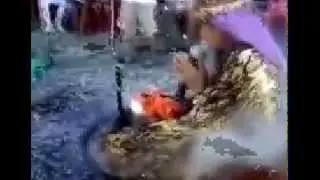 Собака вертун