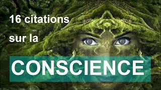 16 CITATIONS SUR LA CONSCIENCE (+ quelques mots)