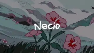 Romeo Santos - Necio (Letra)