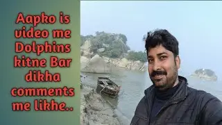 #Dolphins video #Dolphins in Ganga River #Azoobavlog #Chitranaturevlog