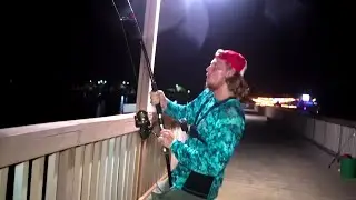 Giant Fish Caught From Pier - OVER 10ft long!!!
