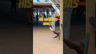 О чём думал второй парень?! Два конкурента, два совершенно разных варианта!