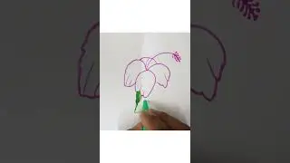 China Rose Drawing#shortvideo