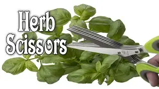 Herb Scissors Review