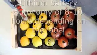 DP25 electronic fruit labeling high speed hand use
