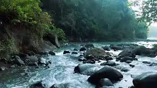 Nature&rsquo;s Pulse &ndash; River Flow for Focus, Sleep, and Healing | Sacred Stream Echoes
