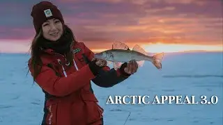DSG Arctic Appeal 3.0